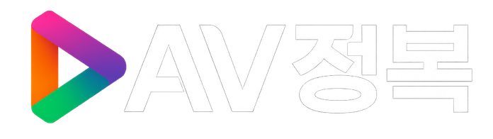 AV정복